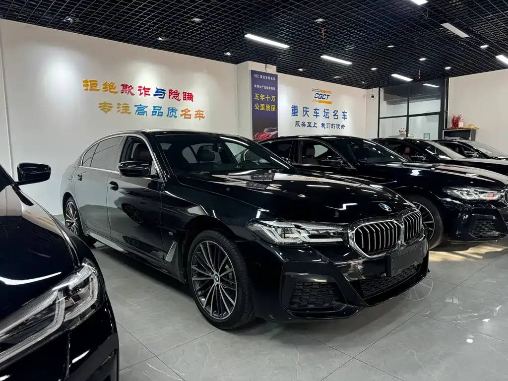 BMW 5 Series 2021 из CN, фото 9