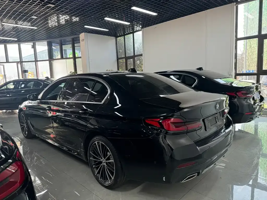 BMW 5 Series 2021 из CN, фото 8