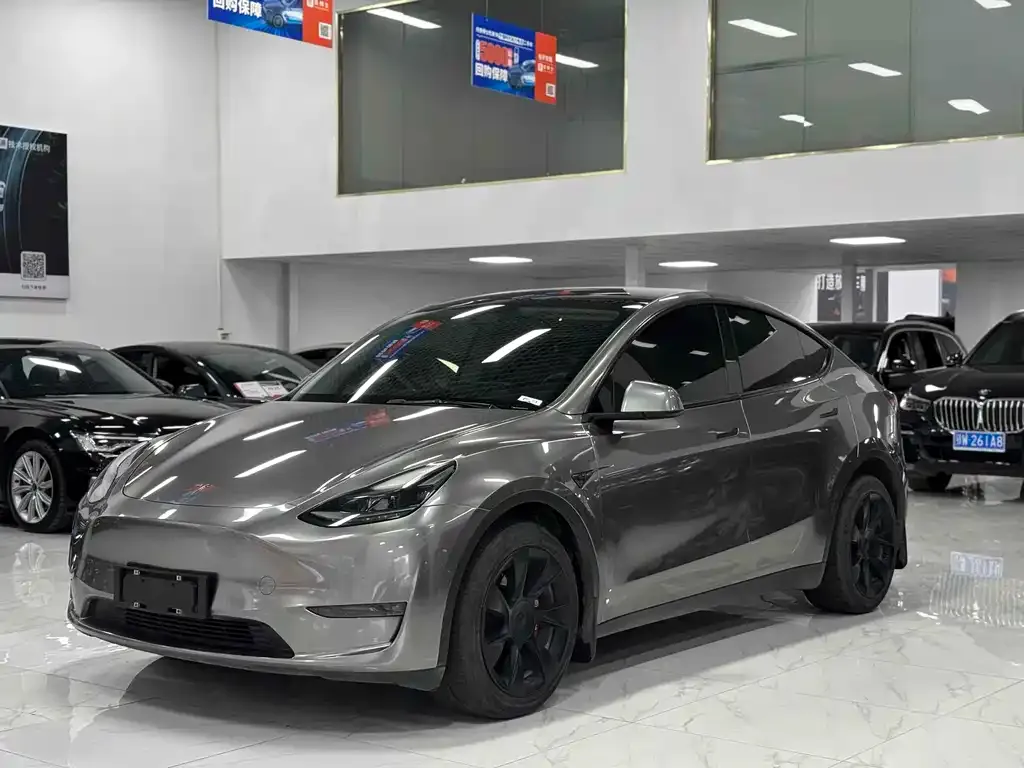 Tesla Model Y 2021 из CN, фото 1