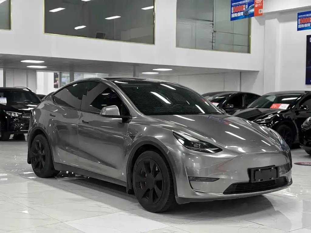 Tesla Model Y 2021 из CN, фото 6