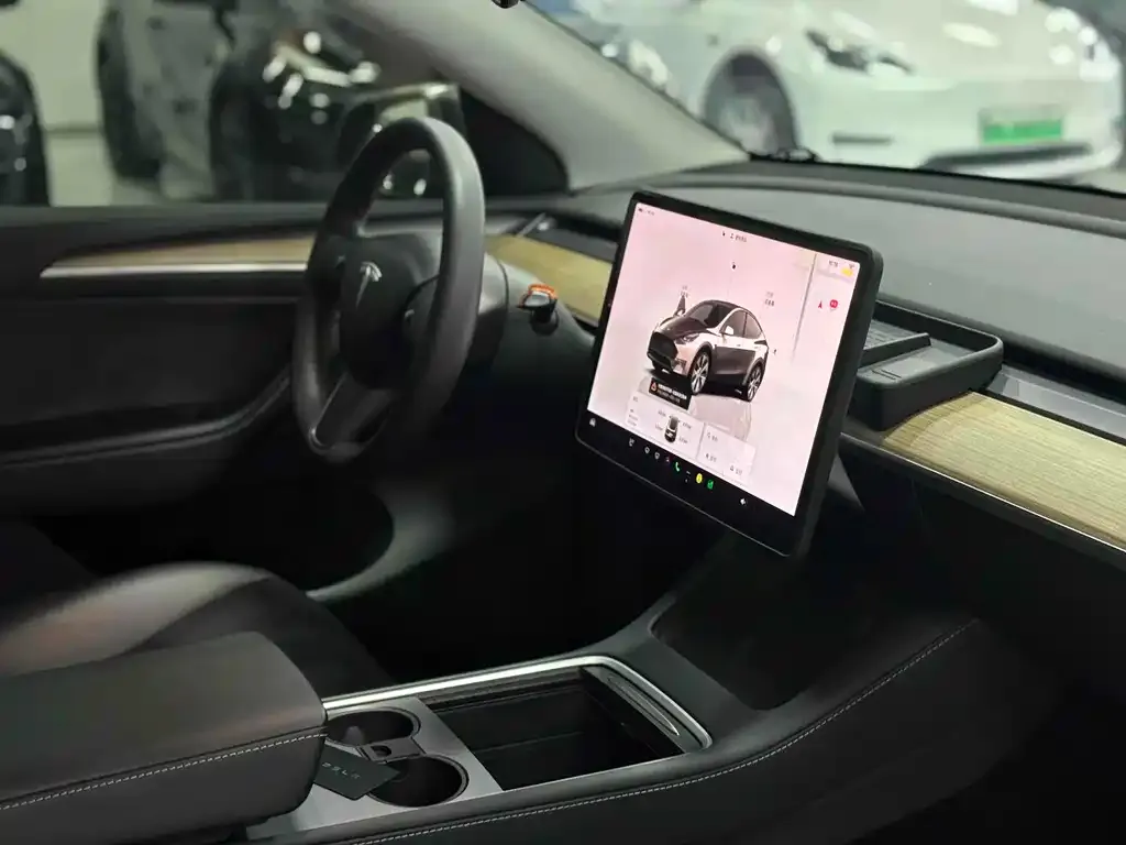 Tesla Model Y 2021 из CN, фото 7