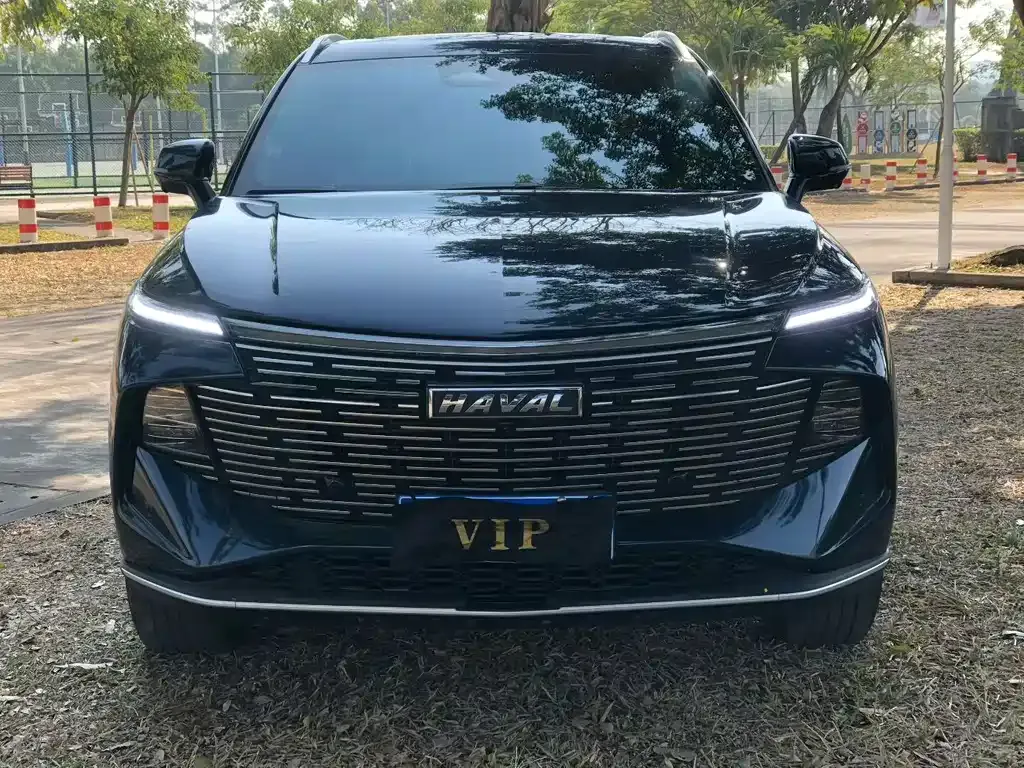 Haval Shenshou 2023 из CN, фото 4