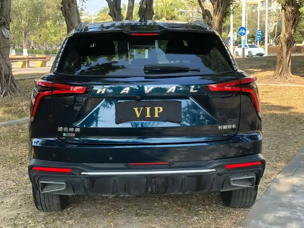 Haval Shenshou 2023 из CN, фото 6