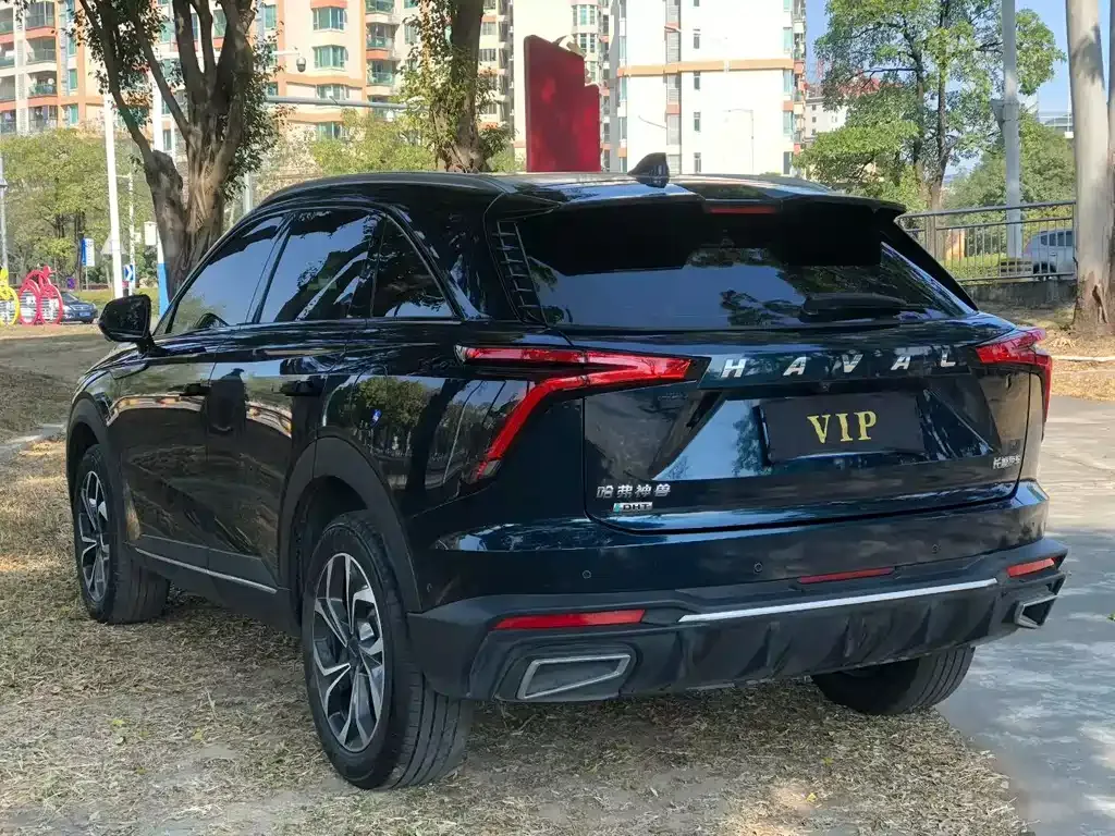 Haval Shenshou 2023 из CN, фото 9