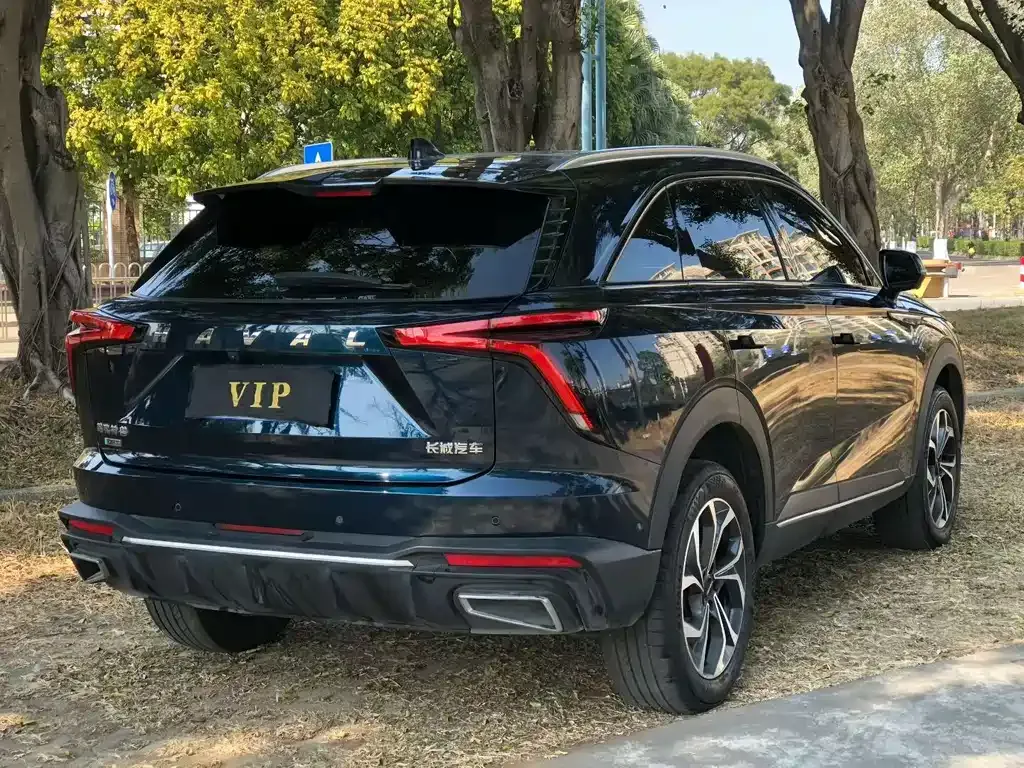 Haval Shenshou 2023 из CN, фото 5
