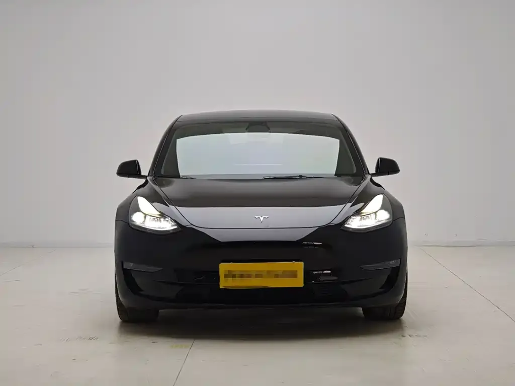Tesla Model 3 2022 из CN, фото 3