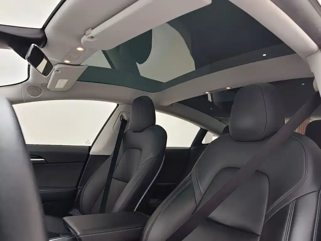 Tesla Model 3 2022 из CN, фото 6