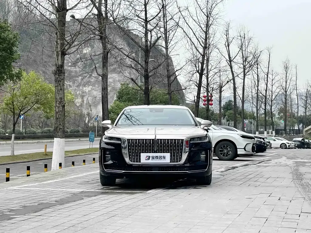 Hongqi H9 — фото 10