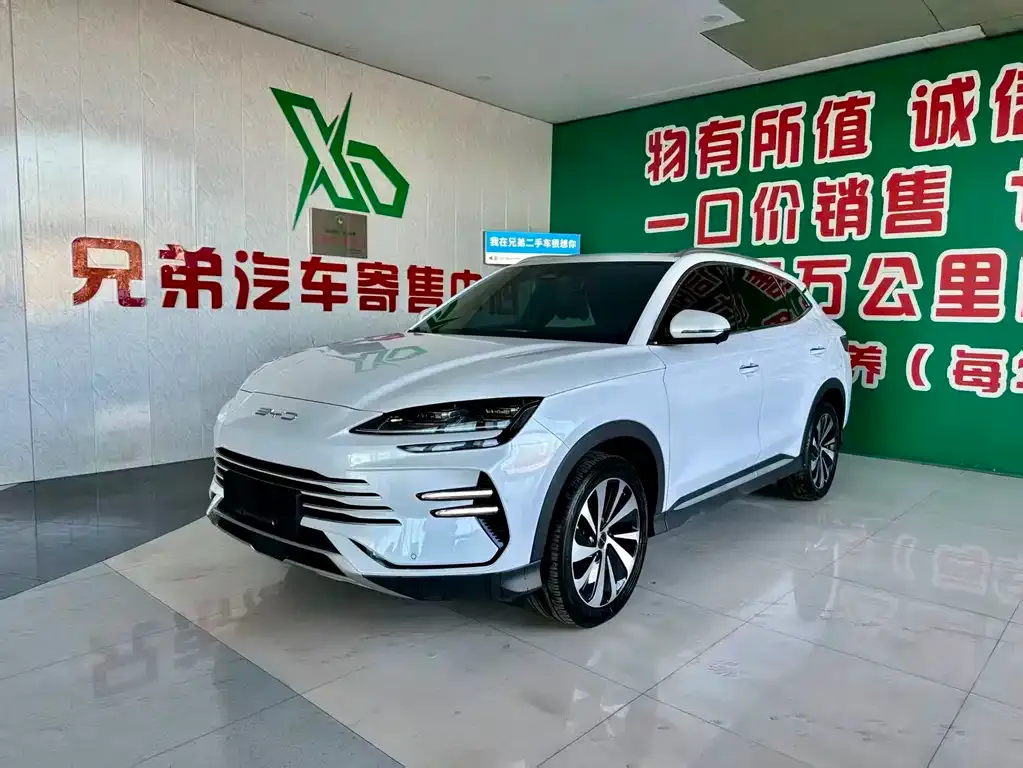 BYD PLUS New Energy 2024 из CN, фото 1