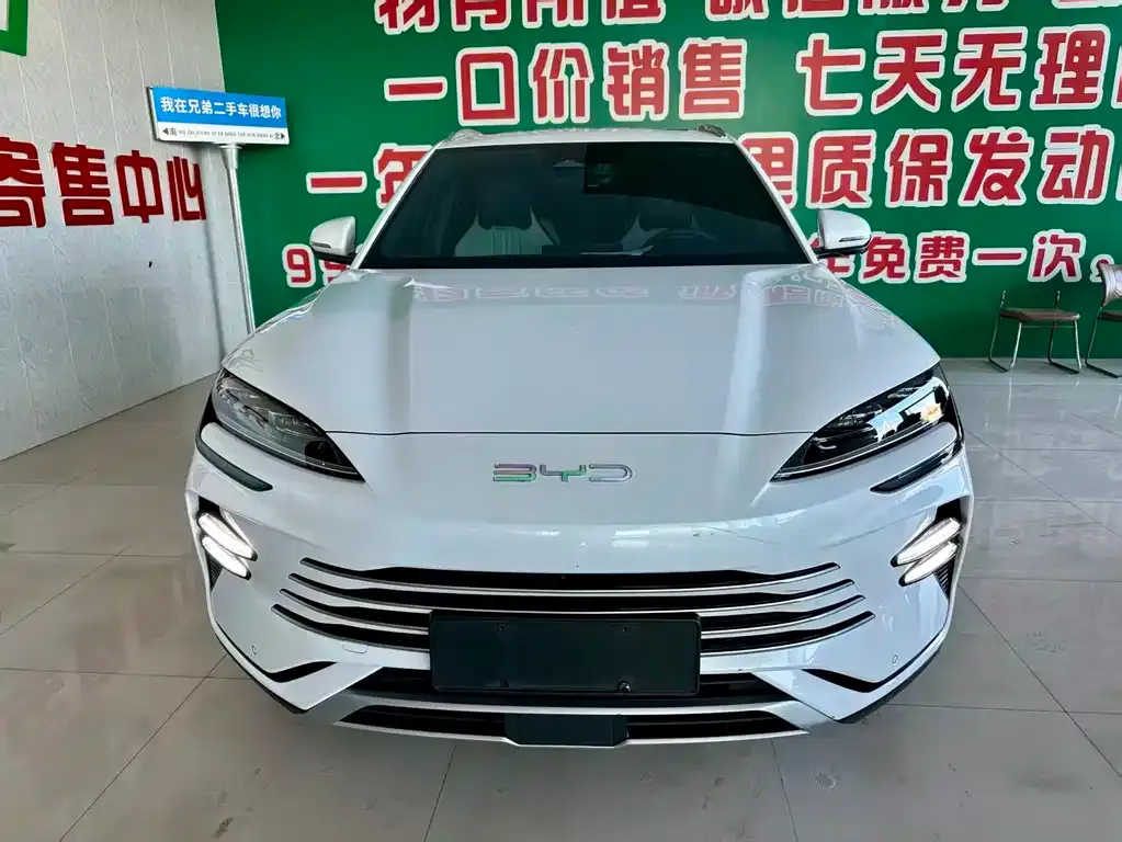 BYD PLUS New Energy 2024 из CN, фото 2
