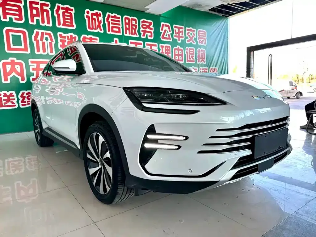 BYD PLUS New Energy 2024 из CN, фото 7