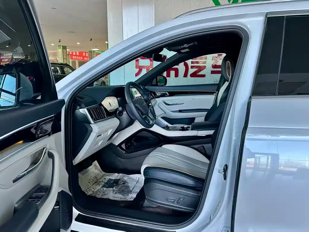 BYD PLUS New Energy 2024 из CN, фото 5