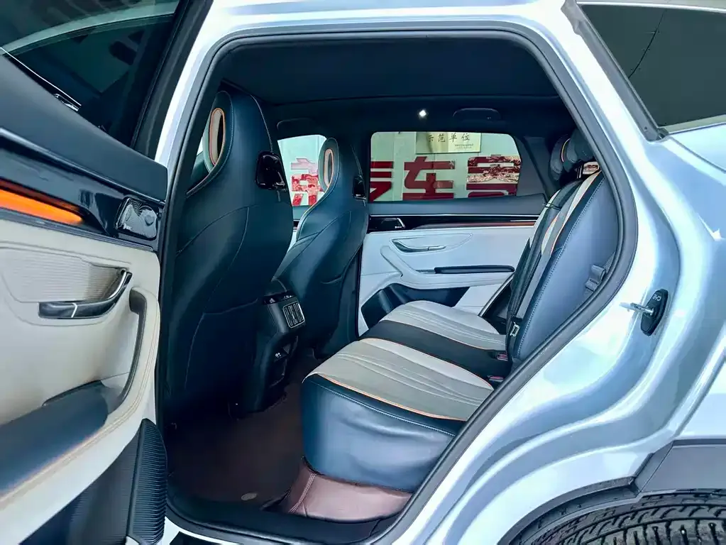 BYD PLUS New Energy 2024 из CN, фото 8