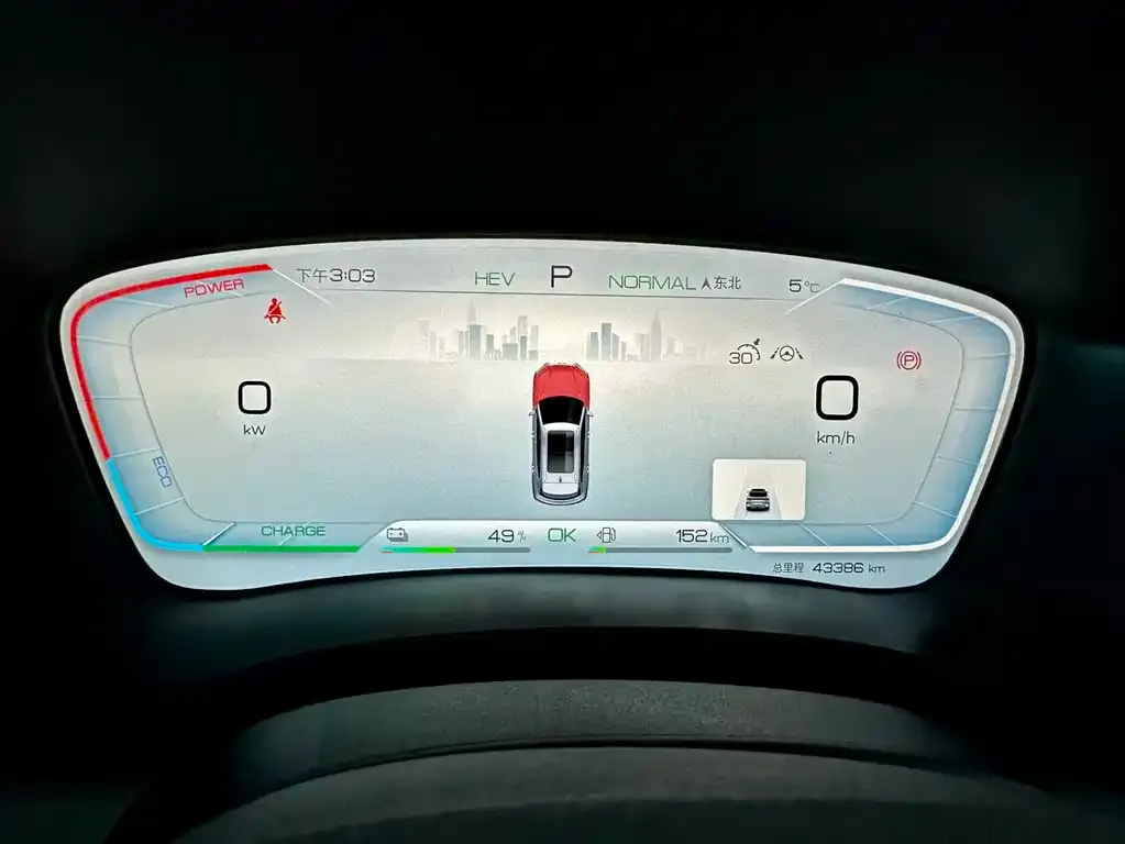 BYD PLUS New Energy 2024 из CN, фото 4