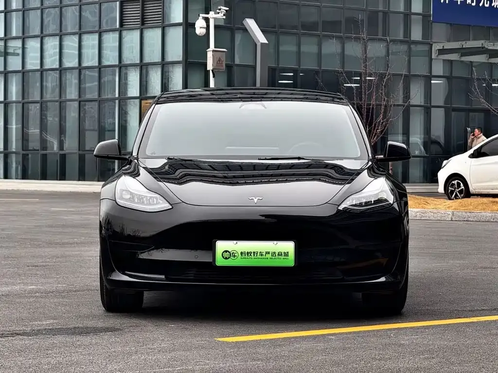 Tesla Model 3 2023 из CN, фото 3