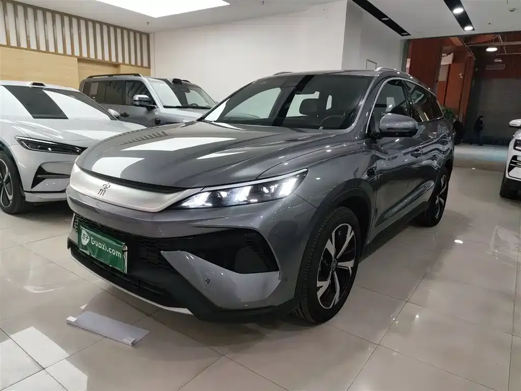 BYD Pro New Energy 2025 из CN, фото 1
