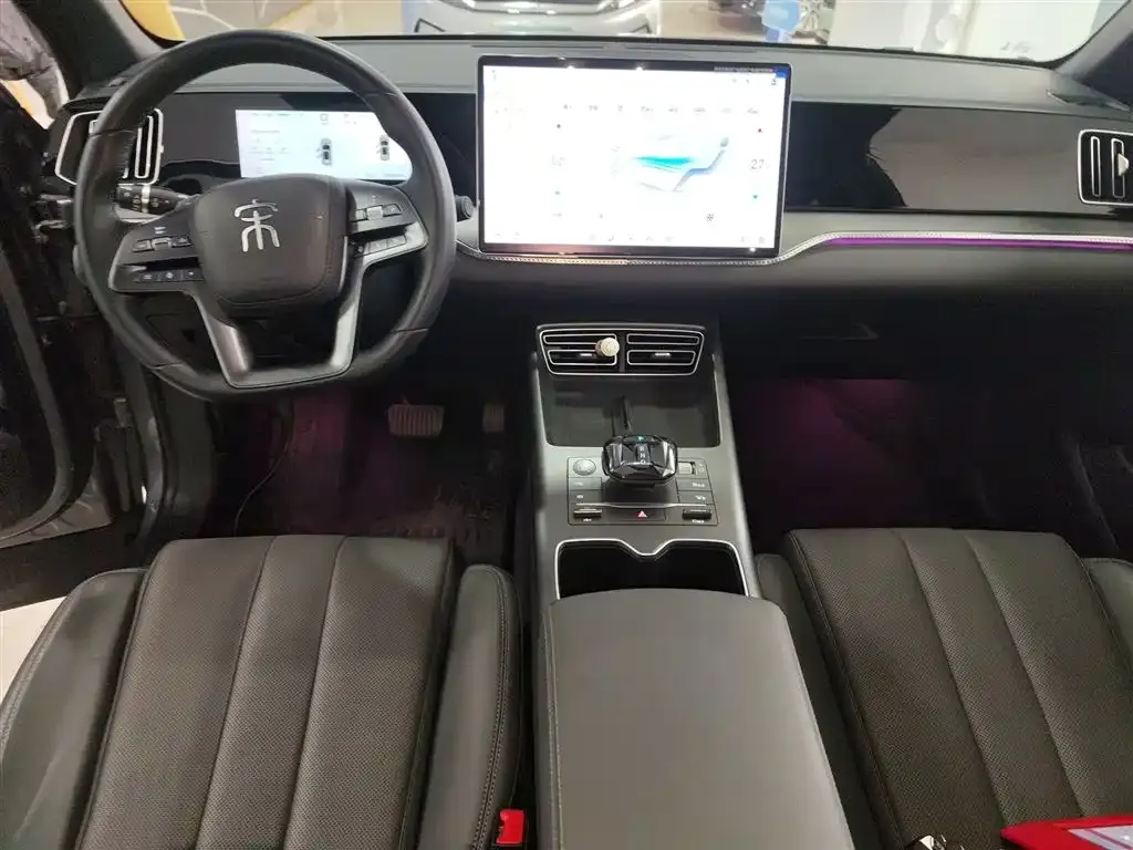 BYD Pro New Energy 2025 из CN, фото 7