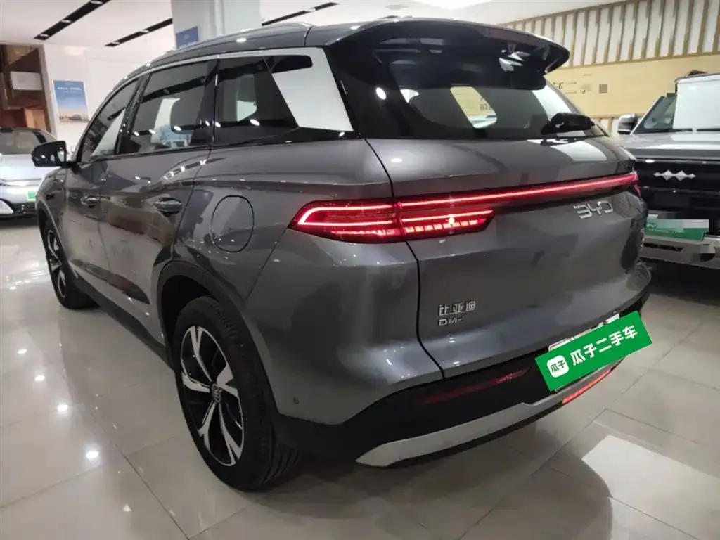 BYD Pro New Energy 2025 из CN, фото 2