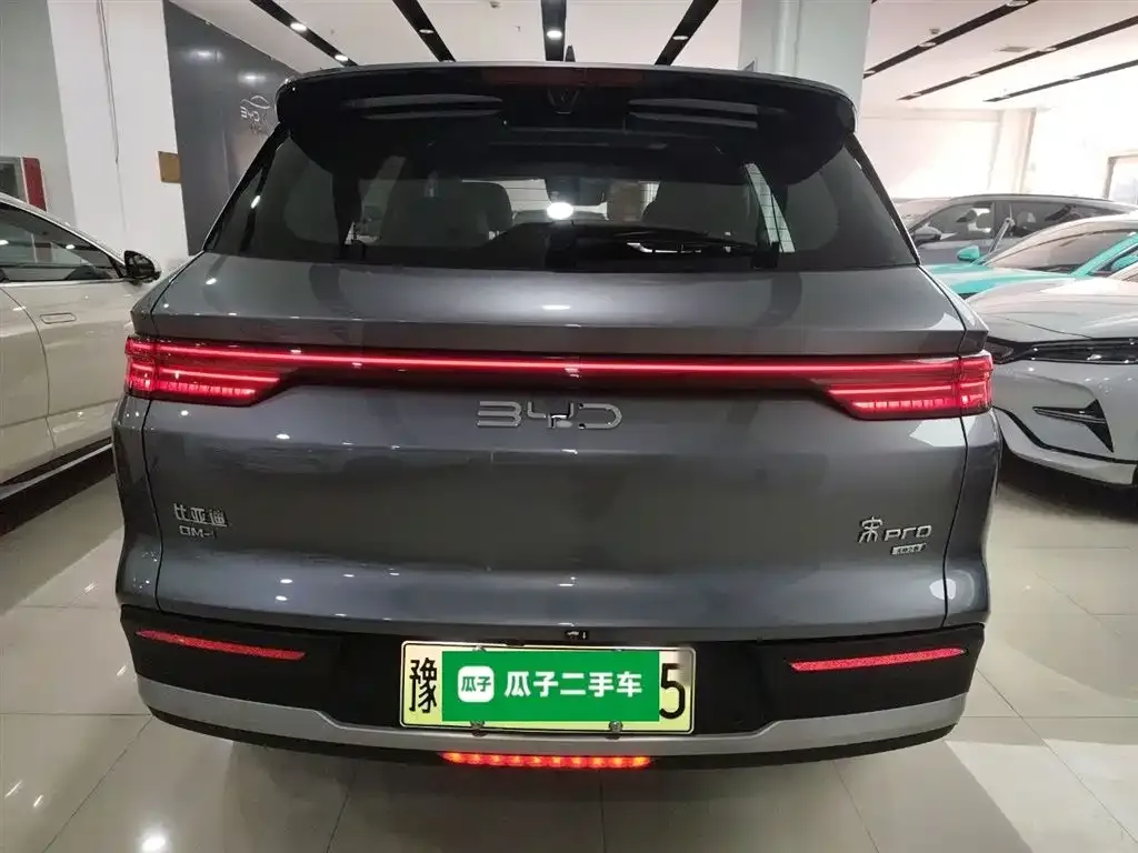 BYD Pro New Energy 2025 из CN, фото 6