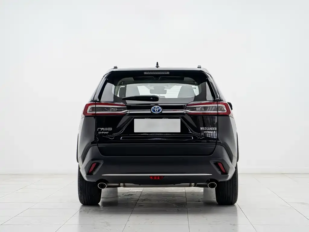 Toyota Wildlander 2023 из CN, фото 2