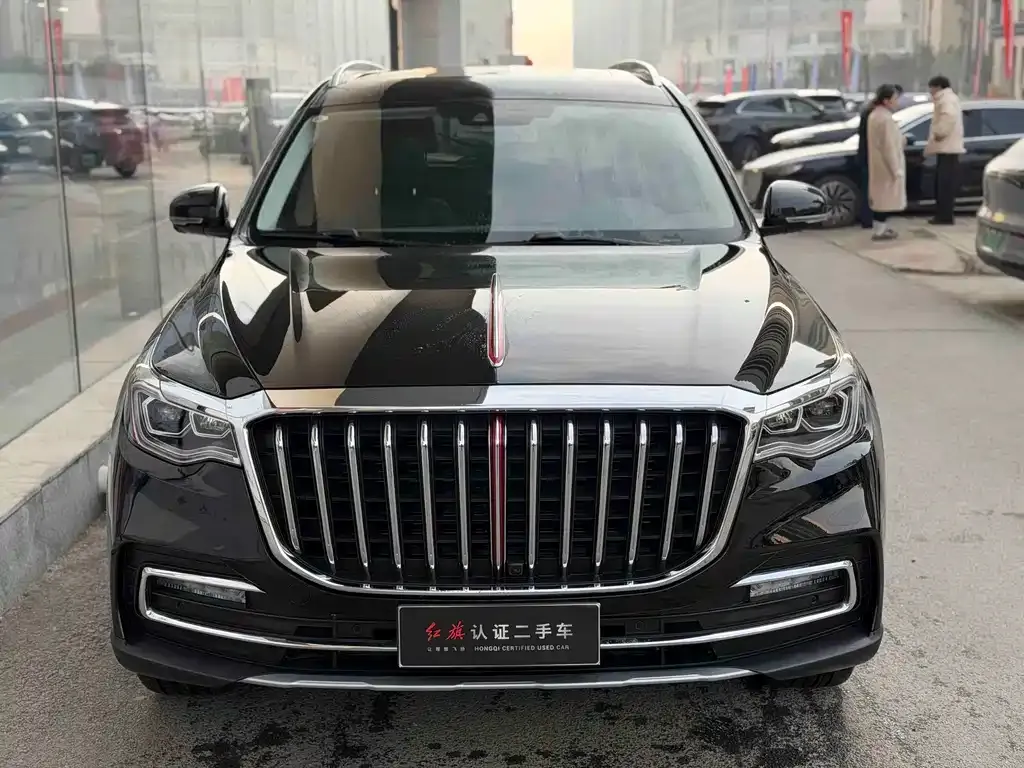 Hongqi HS7 2023 из CN, фото 10