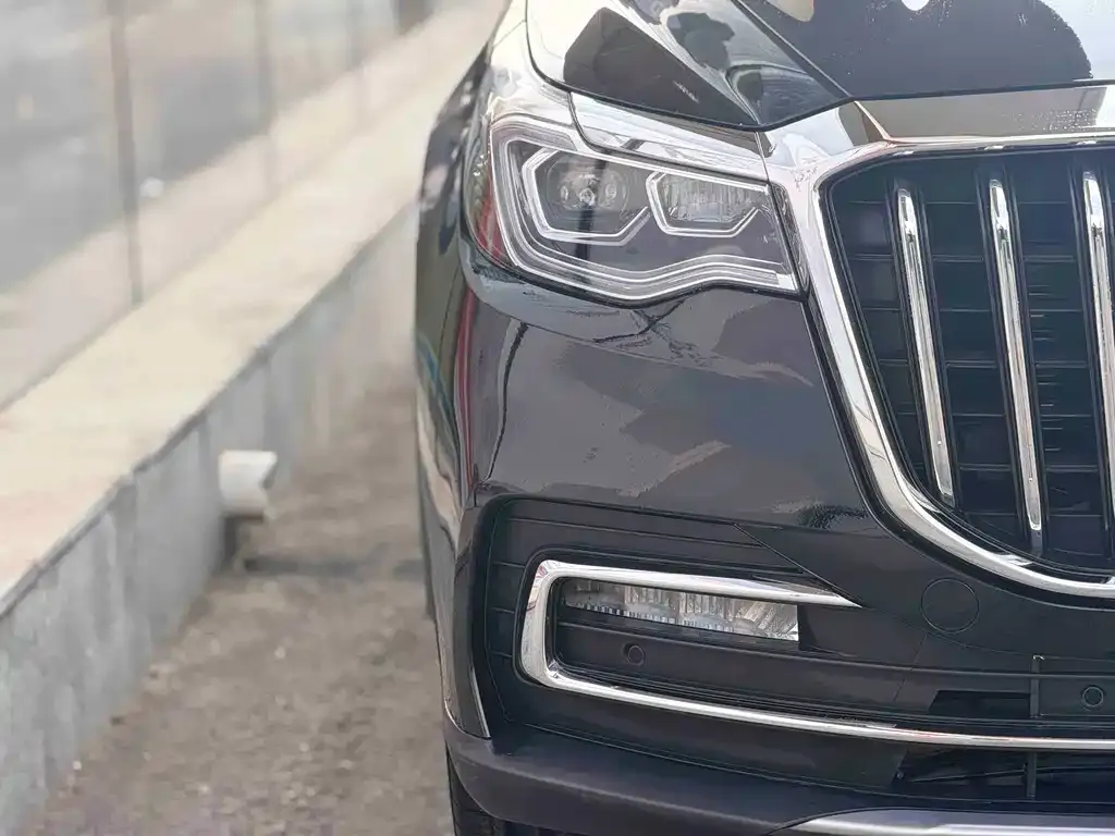 Hongqi HS7 2023 из CN, фото 2
