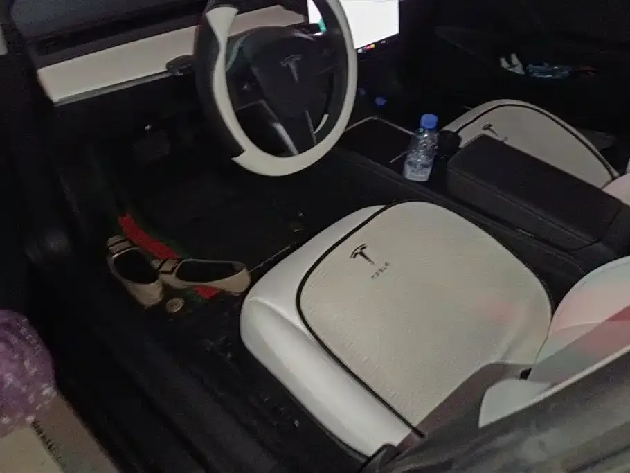 Tesla Model 3 2021 из CN, фото 5