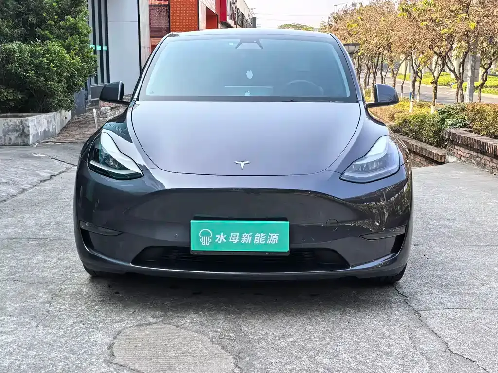 Tesla Model Y 2022 из CN, фото 9