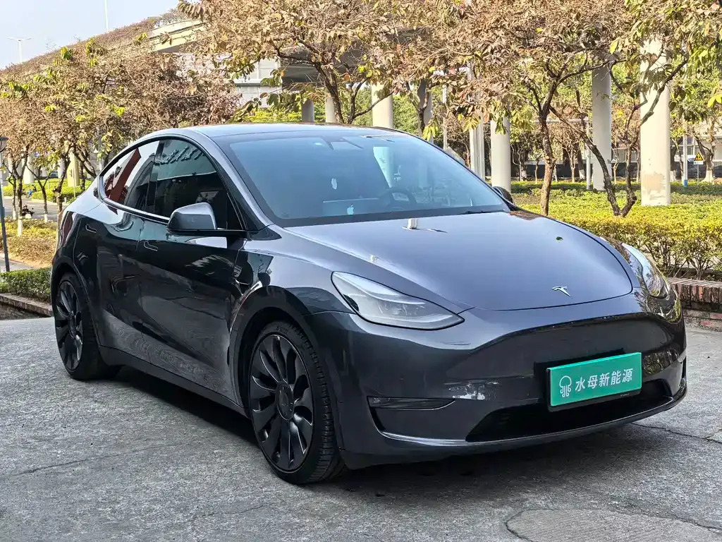 Tesla Model Y 2022 из CN, фото 5
