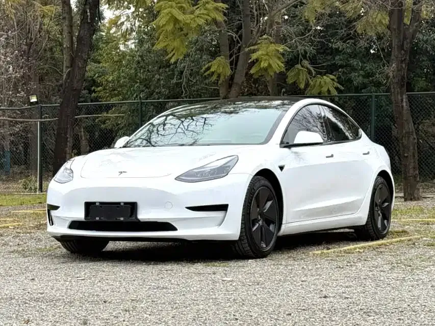 Tesla Model 3 — фото 1