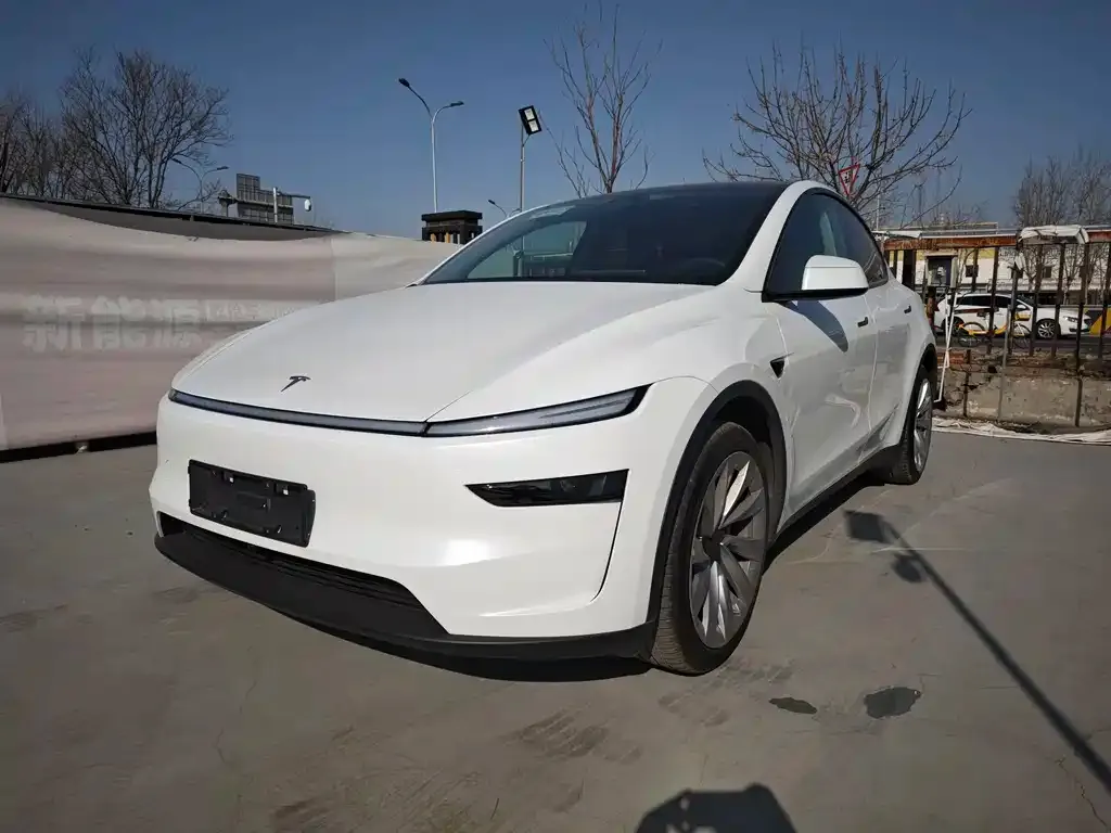 Tesla Model Y 2025 из CN, фото 1