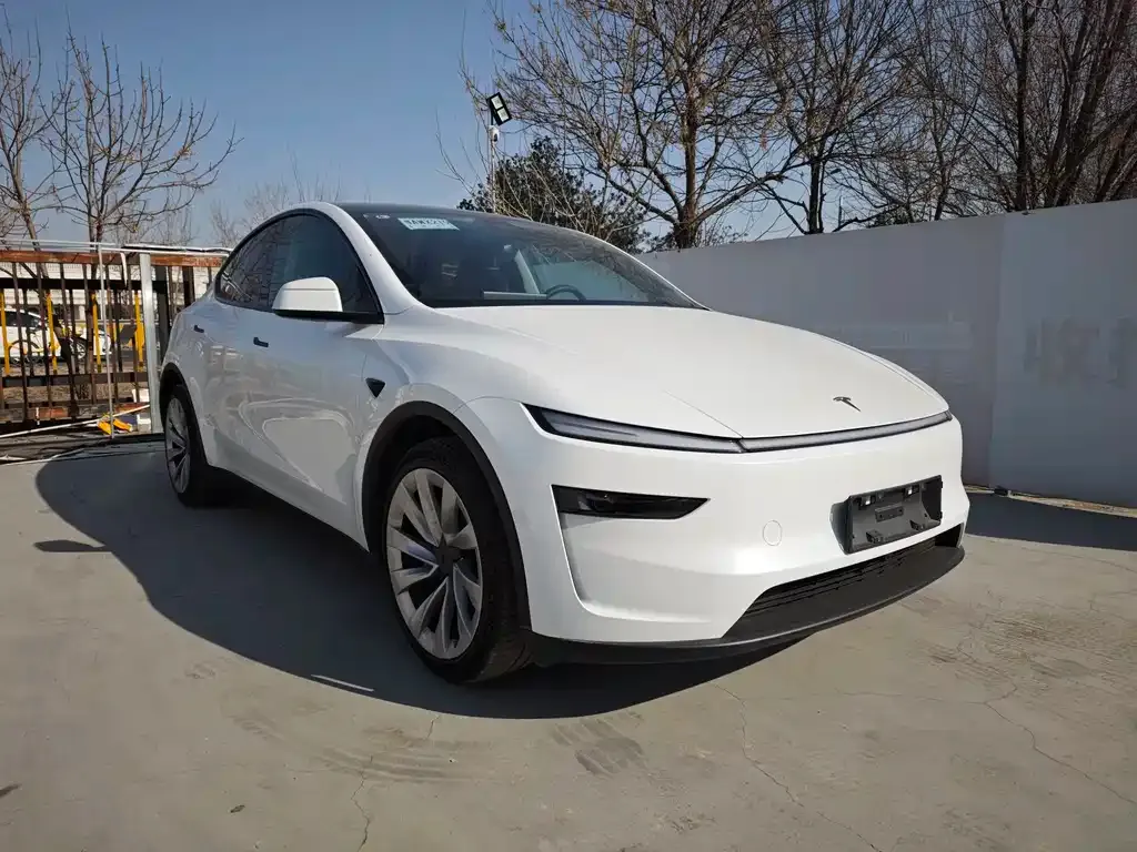 Tesla Model Y 2025 из CN, фото 10