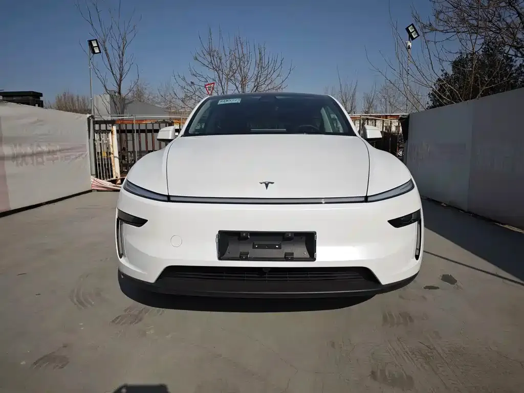 Tesla Model Y 2025 из CN, фото 6