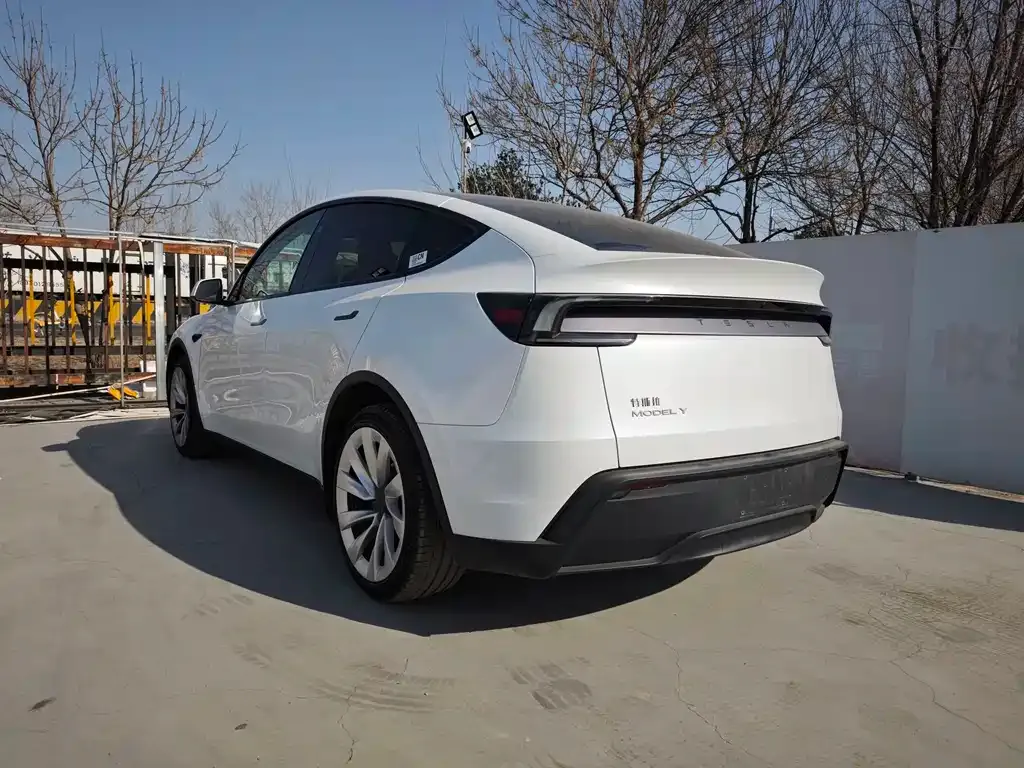 Tesla Model Y 2025 из CN, фото 8