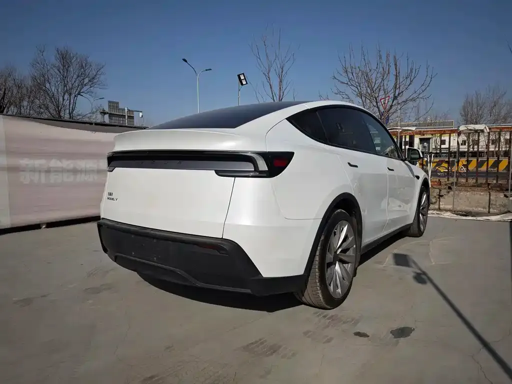 Tesla Model Y 2025 из CN, фото 2