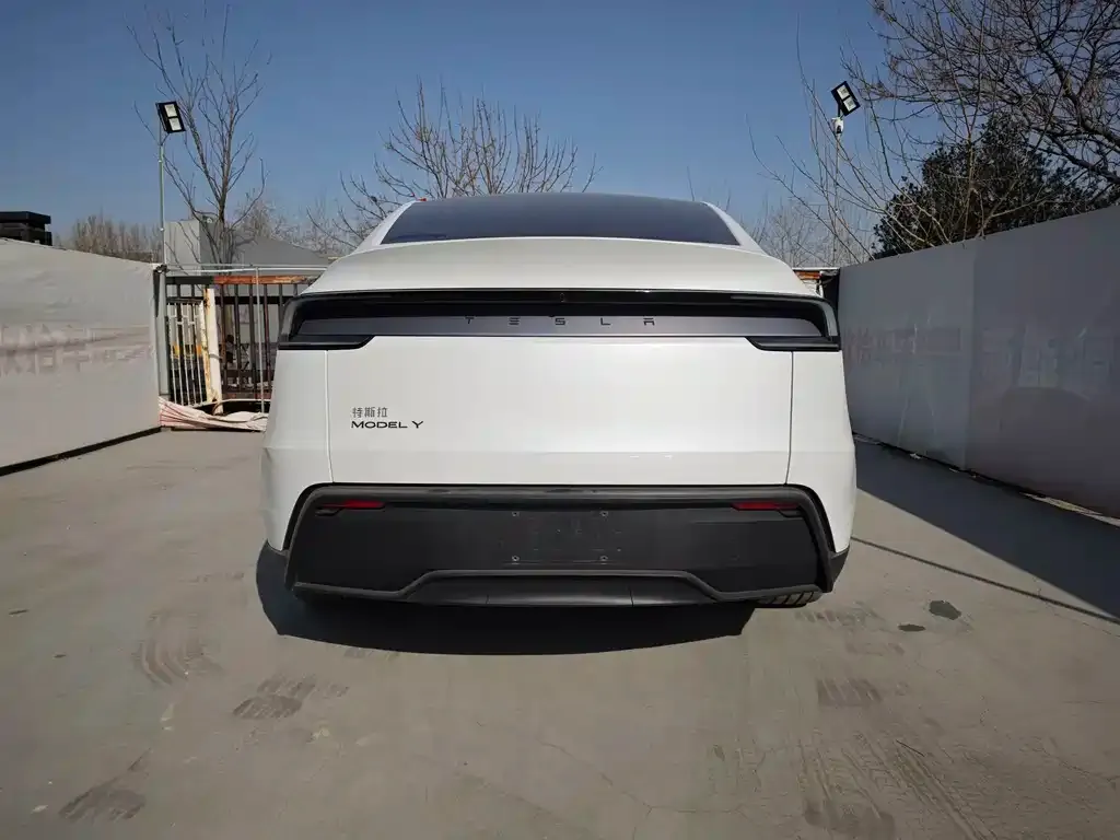 Tesla Model Y 2025 из CN, фото 5