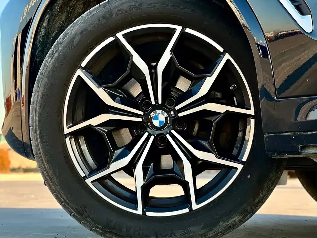 BMW X3 2022 из CN, фото 10