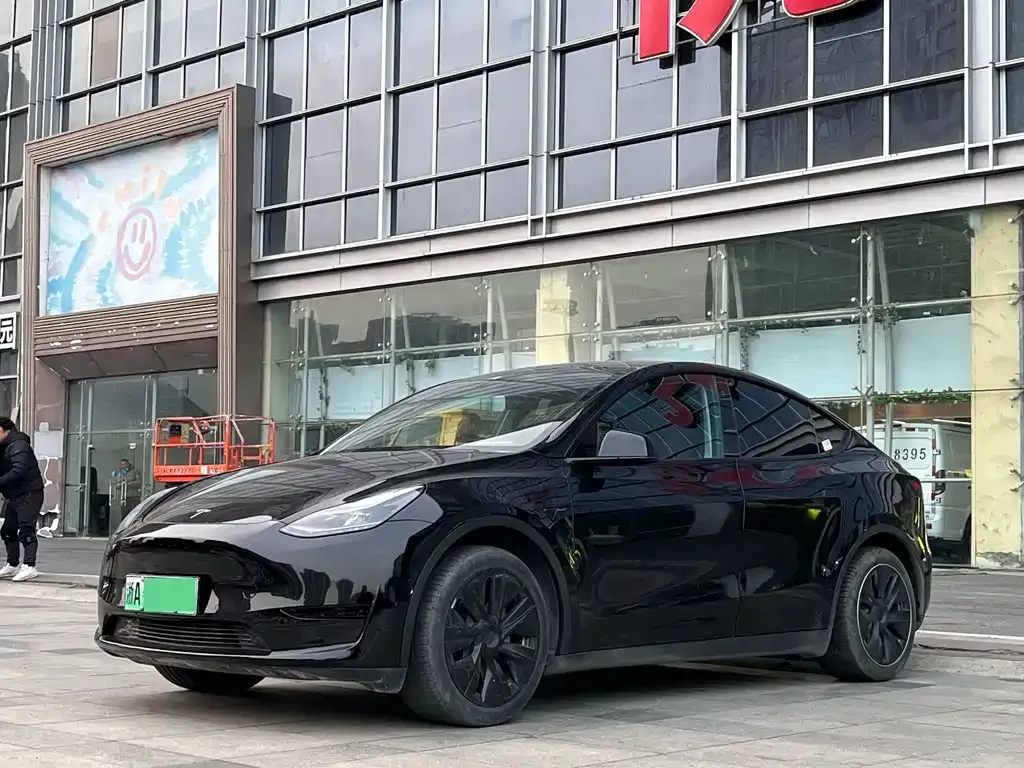 Tesla Model Y — фото 1