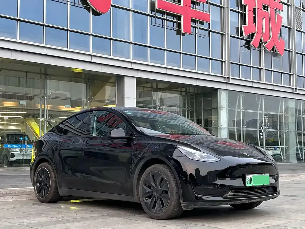 Tesla Model Y — фото 10