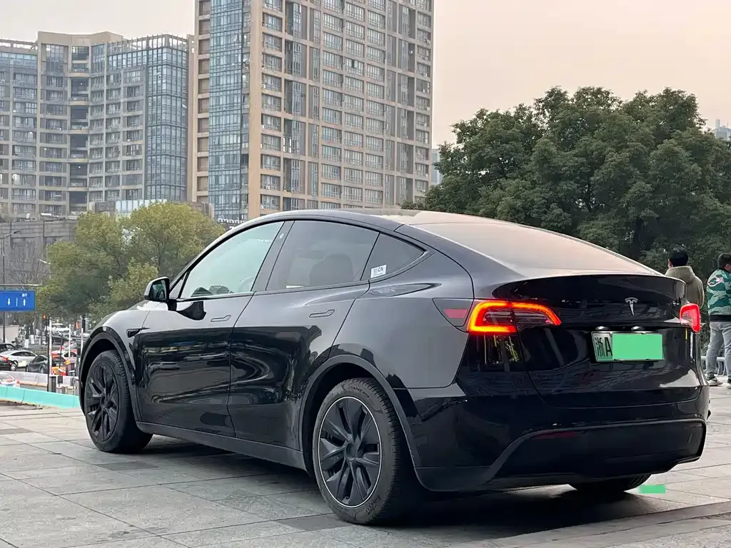 Tesla Model Y — фото 3