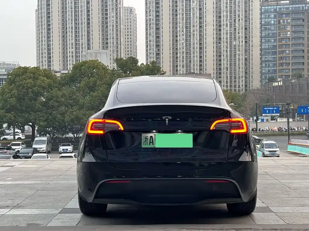 Tesla Model Y — фото 9