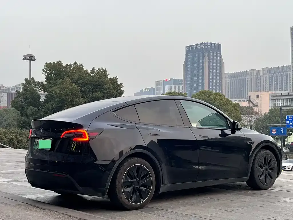 Tesla Model Y — фото 6