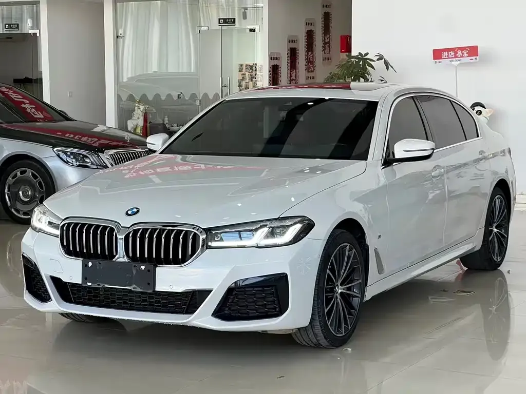 BMW 5 Series 2023 из CN, фото 1