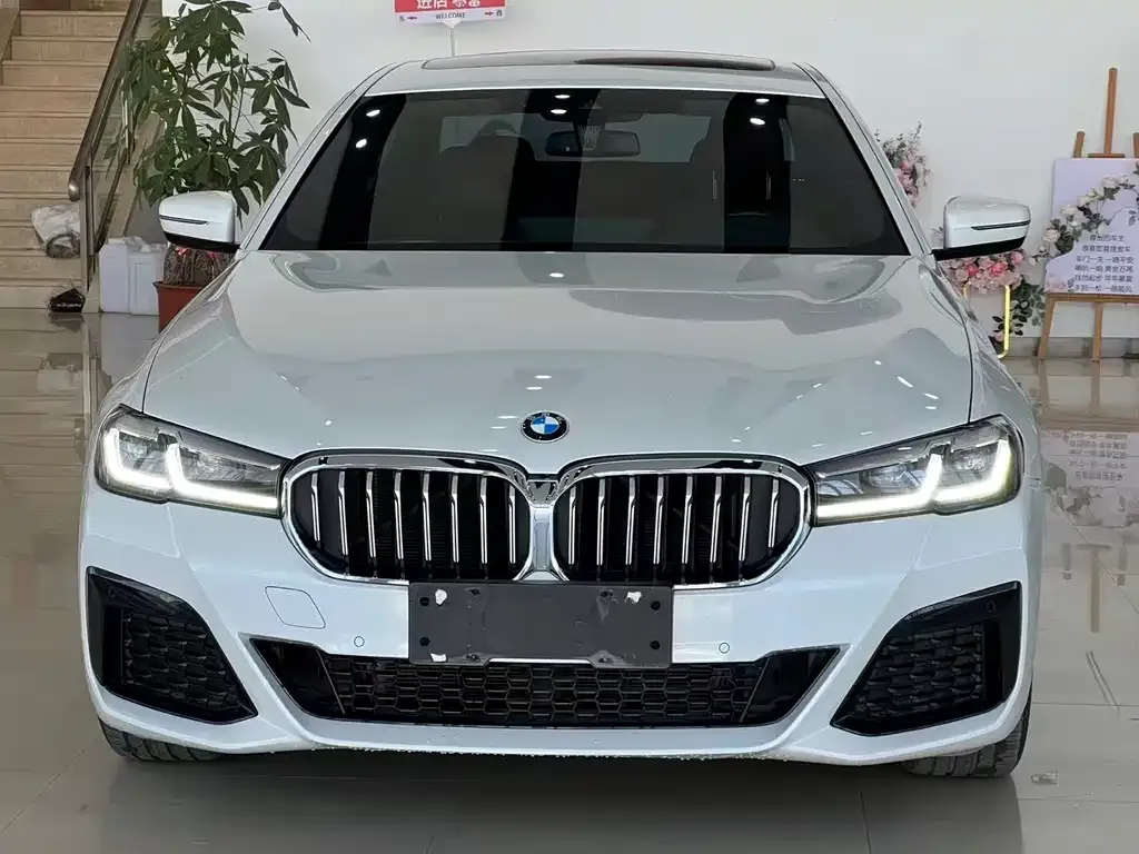 BMW 5 Series 2023 из CN, фото 4