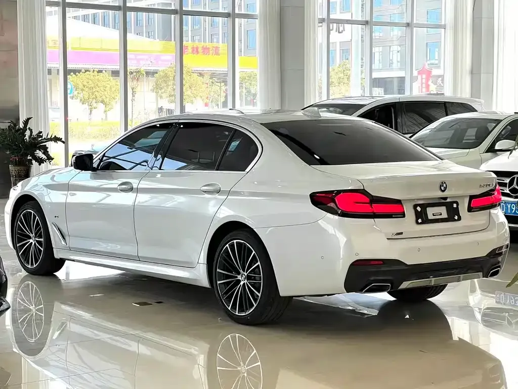 BMW 5 Series 2023 из CN, фото 8