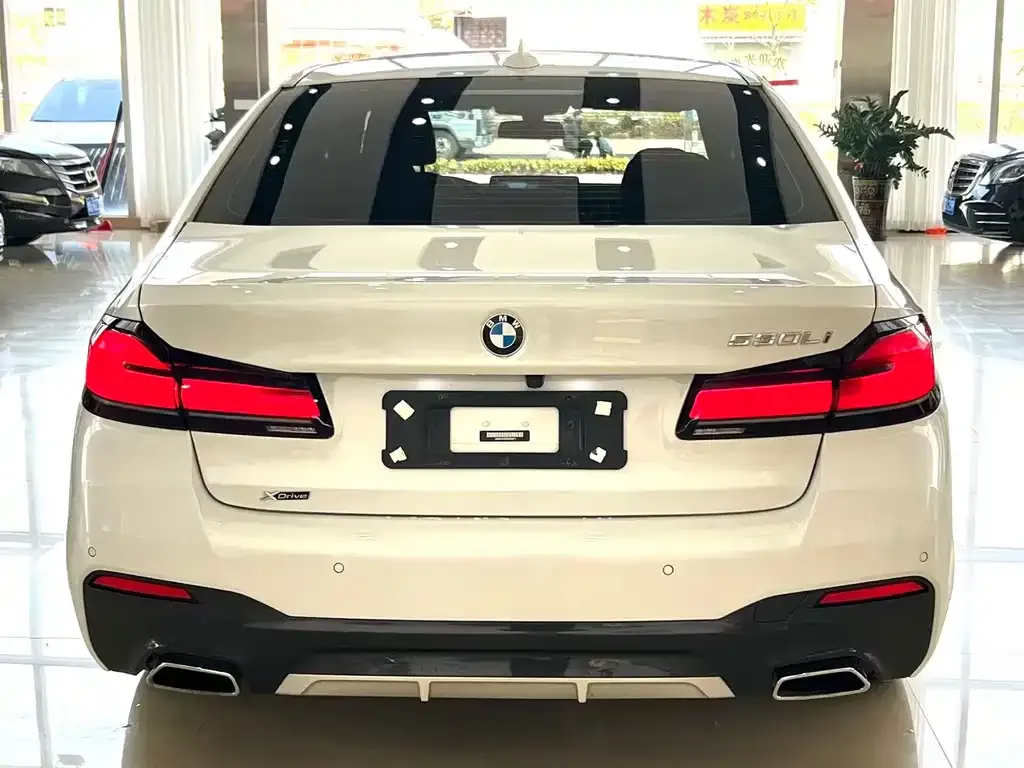BMW 5 Series 2023 из CN, фото 5