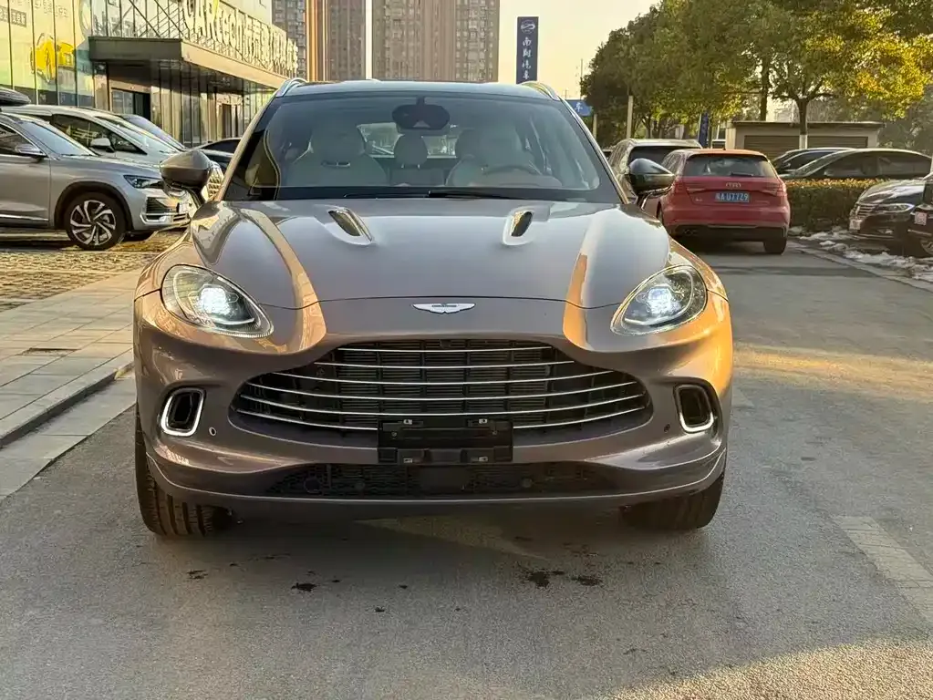 Aston Martin DBX 2022 из CN, фото 2