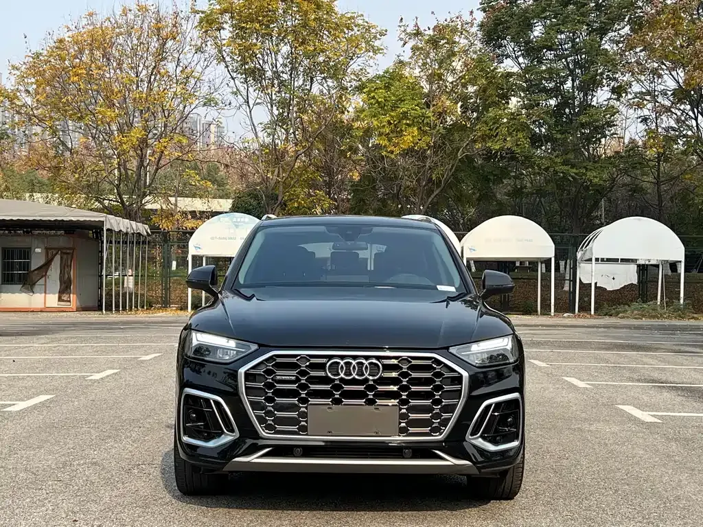 Audi Q5L 2021 из CN, фото 6