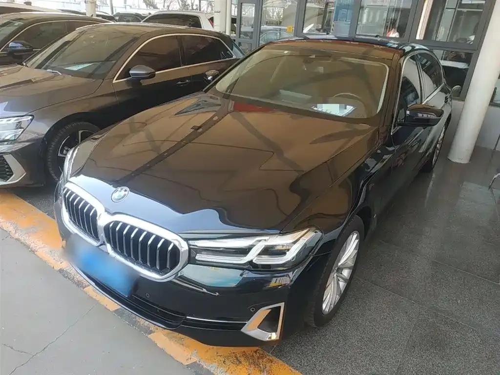 BMW 5 Series 2021 из CN, фото 5