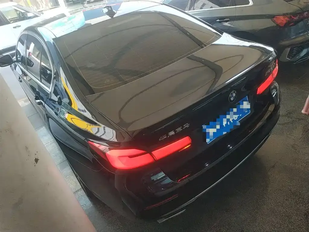 BMW 5 Series 2021 из CN, фото 10